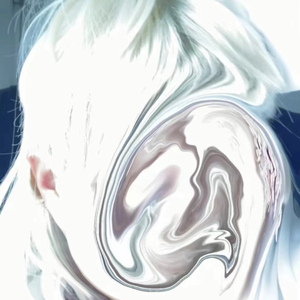 2.喝东方树叶我只喝茉莉花茶