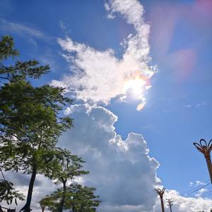 你拨打的用户已跑路