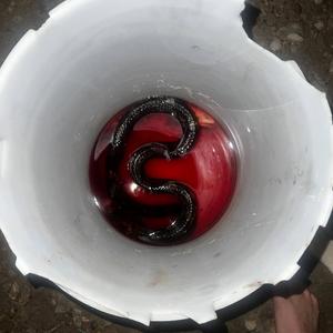 I cant play guitar but i need to tell you something