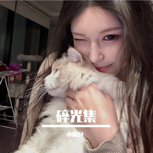 碎光集_22850746445003264_1754716526179 伴奏