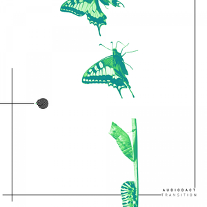 Transition (Original mix)