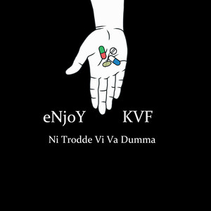 Ni trodde vi va dumma