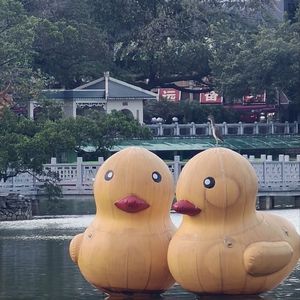 键盘审判