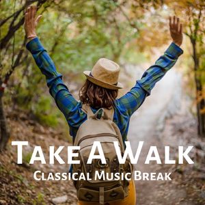 Symphony No 9 In E Minor, Op. 95, B 178 "From The New World" 4. Allegro Con Fuoco