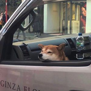 要是你没离开(该有多好)