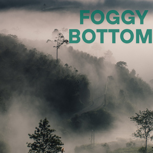 Foggy Bottom
