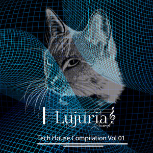 Sorner (Original Mix)