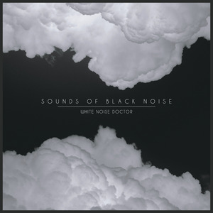 Sounds Of Black Noise