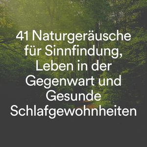 Malerische Ausblicke