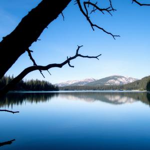 Entre Amar E Não Saber