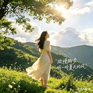 放慢脚步 听一听夏天的风 治愈版