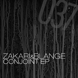 Conjoint (Original Mix)