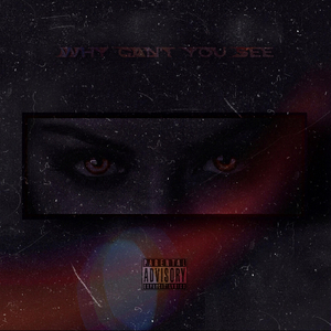 Why Can't You See