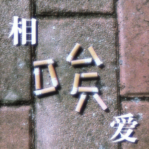 相唉!