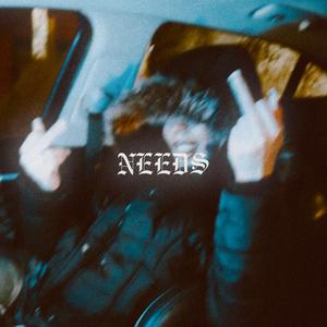 NEEDS
