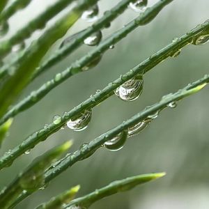 数雨滴，数自己