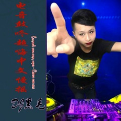 刀光剑影 (DJ版)