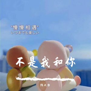 不是我和你
