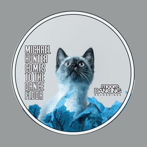 Traceless (Michael Hunter Remix)