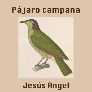 Pájaro Campana