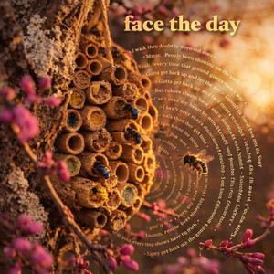 Face The Day
