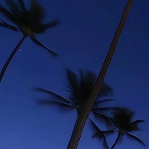 我的喜欢很直白