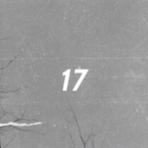 17