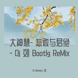 大神慧-大神慧- 怎敢与君绝 - Dj 刘 Bootlg ReMix（Dj Midnight.刘 remix）