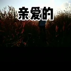 亲爱的-成品