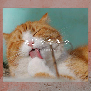 君じゃなきゃ（翻自 ユナク&ソンジェ from 超新星）