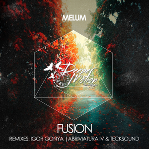 Fusion (Igor Gonya Remix)