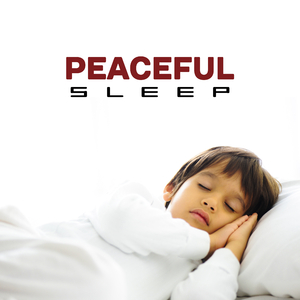 String Quartet No. 59 in G Minor, Op. 74 No. 3, Hob. III:74 “The Rider”: III. Menuet – Allegretto