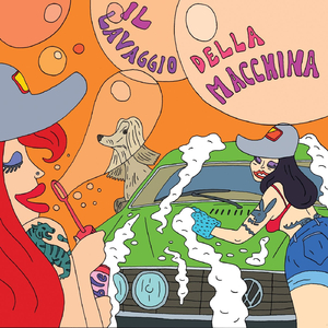 Il lavaggio della macchina