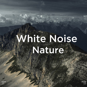 잠자는 팬 소리