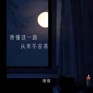 我懂这一路从来不容易