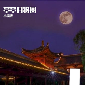 亭亭月将圆 (25)