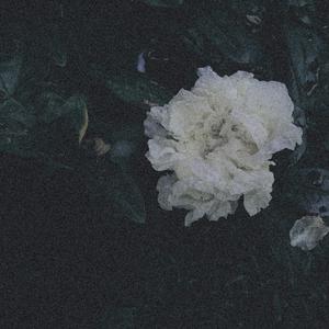 还在爱你（Prod MoonVibe & BLACKFAT）