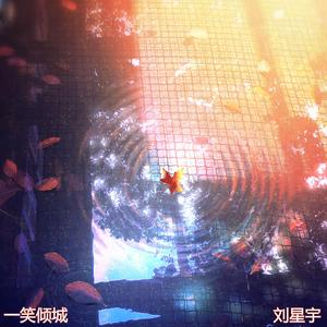 一笑倾城 刘星宇 (feat. Dj Douyin Remix)