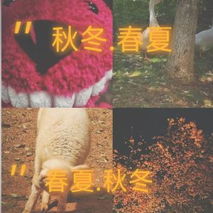 秋冬,春夏