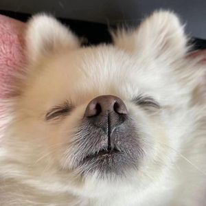 It's okay（prod.Acid）