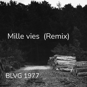 Mille vies (Remix)