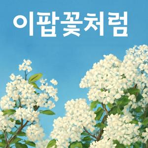 이팝꽃처럼