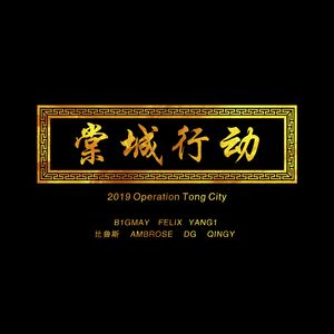 棠城行动