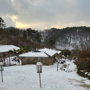 (Bonus Track) 영원한 건 없다지만 조금 더 오래였다면 좋았을 텐데