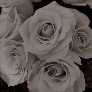 擬態-mimic- [inst]