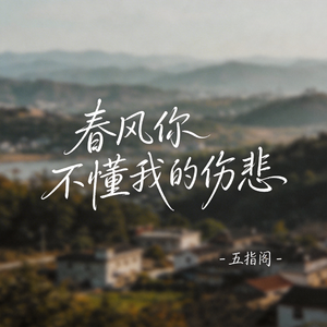 春风你不懂我的伤悲（抖音热播版）