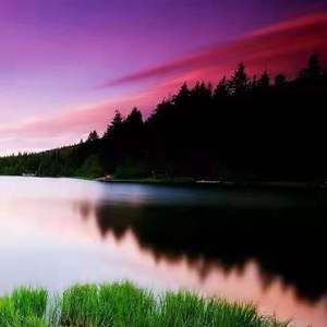 心爱的那位姑娘