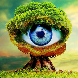 Eye in the Sky (Instrumental)