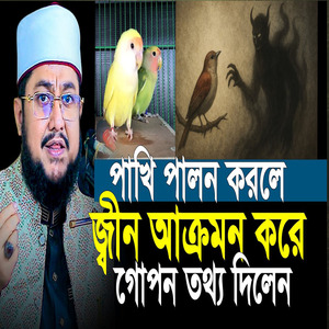 পাখি পালন করলে জ্বীন আক্রকম করে সঠিক তথ্যটি জানুন
