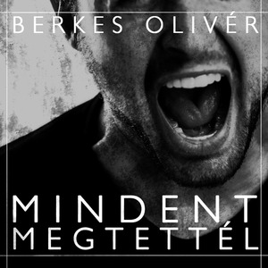 Mindent Megtettél (Radio Edit)